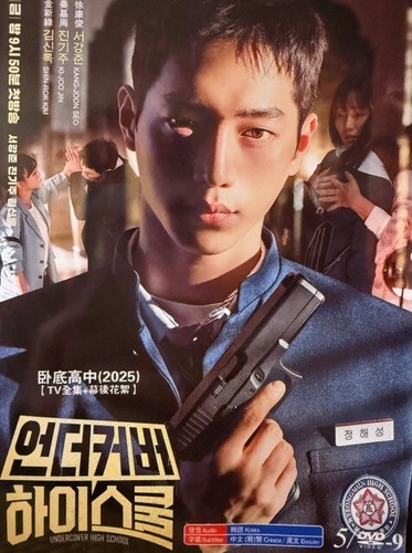 Korean drama undercover high - korean,