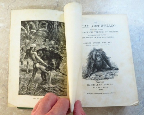 1890 alfred wallace malay - alfred,